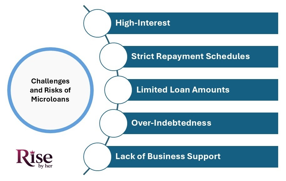 challenges and risks for microloans